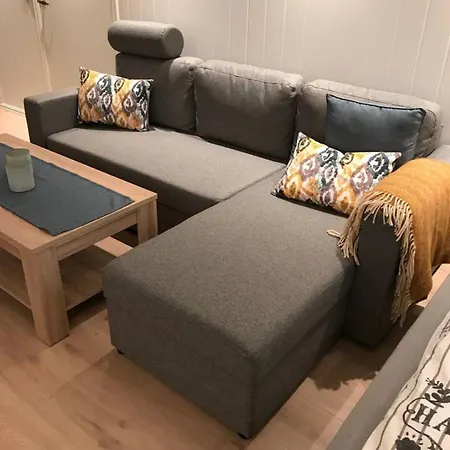 Koselig Og Praktisk Studioleilighet *
