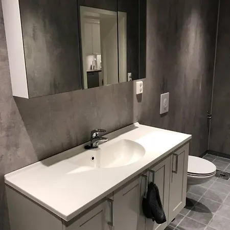 Koselig Og Praktisk Studioleilighet Appartement *