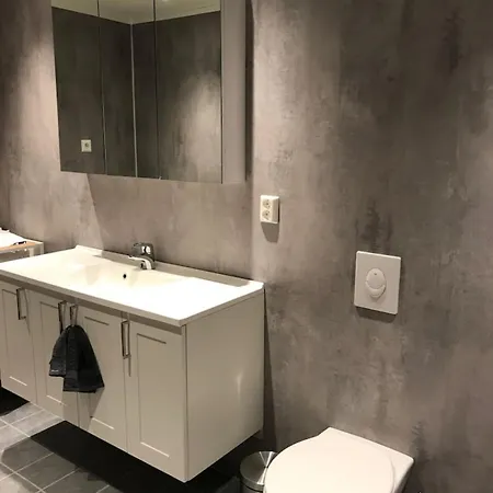 Koselig Og Praktisk Studioleilighet شقة *