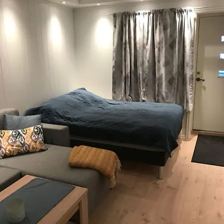 Apartamento Koselig Og Praktisk Studioleilighet