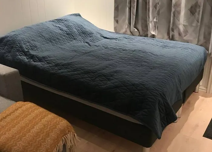 Апартаменты Koselig Og Praktisk Studioleilighet