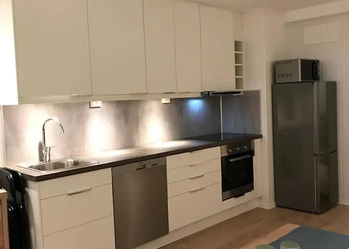 Koselig Og Praktisk Studioleilighet