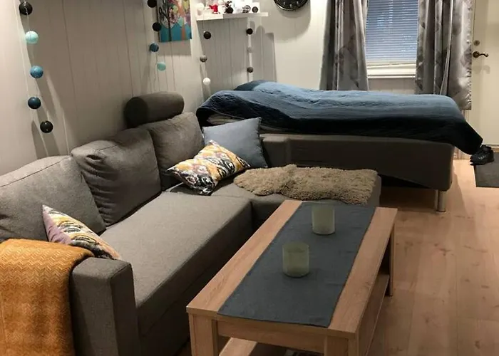 Koselig Og Praktisk Studioleilighet Апартаменты
