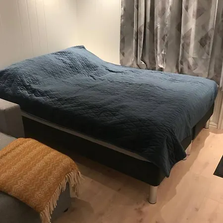 Lejlighed Koselig Og Praktisk Studioleilighet